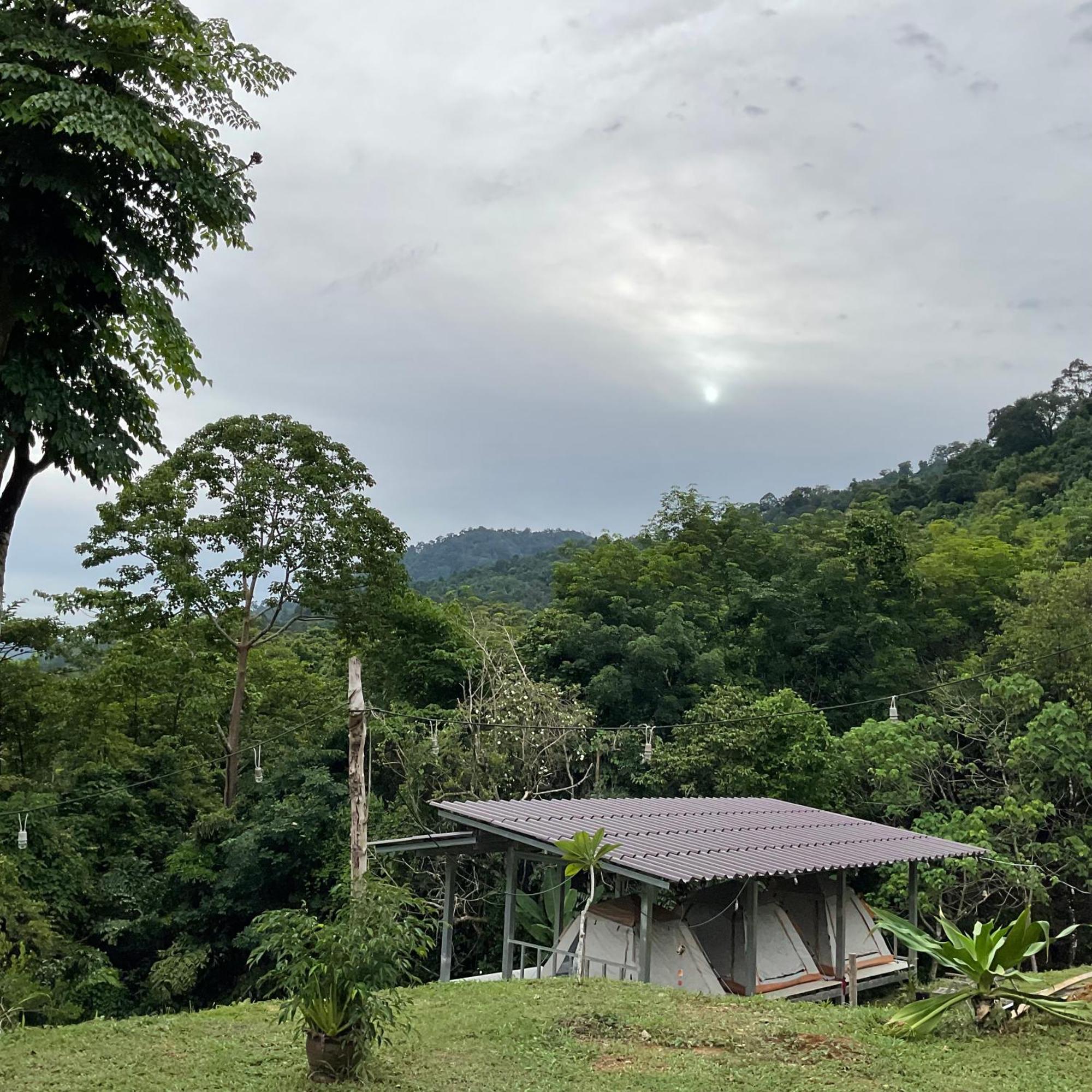 Khao Sok Hill Top Resort Khao Sok National Park Екстериор снимка