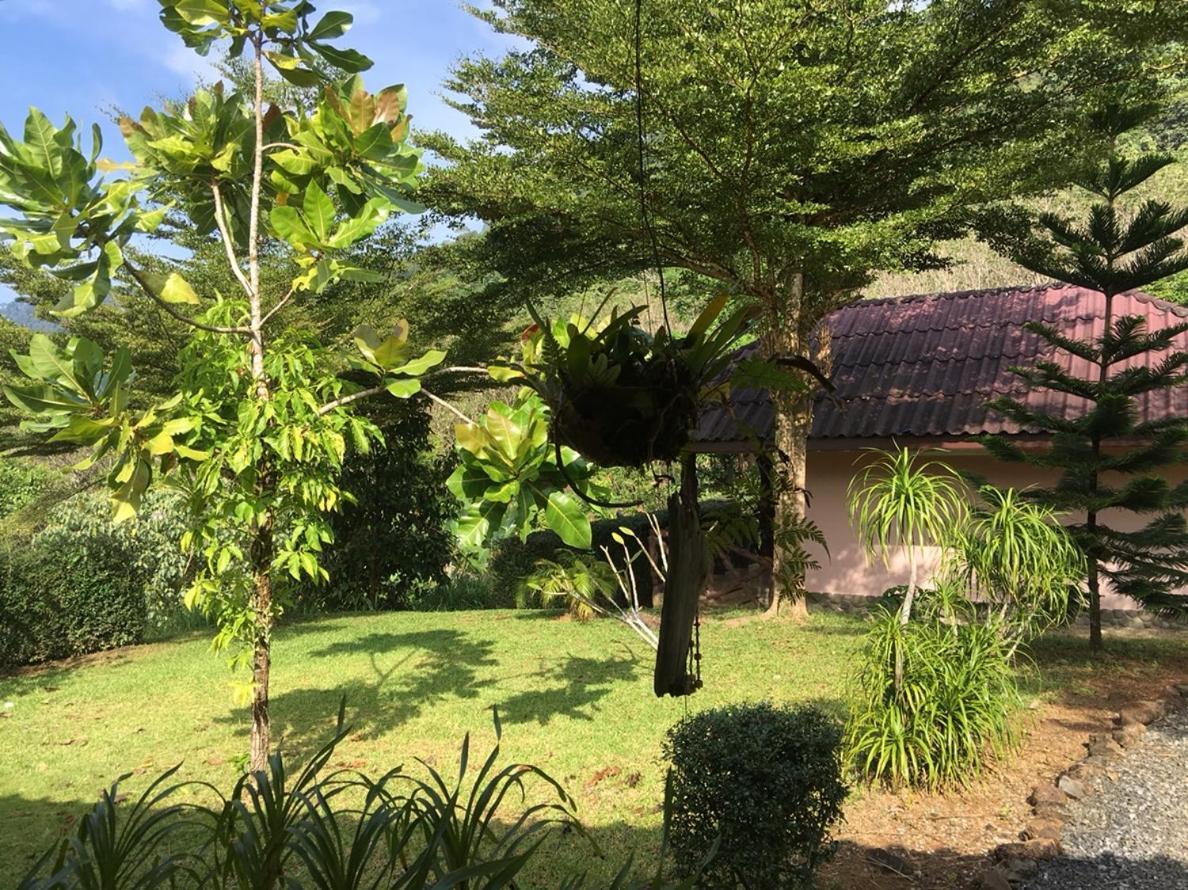 Khao Sok Hill Top Resort Khao Sok National Park Екстериор снимка