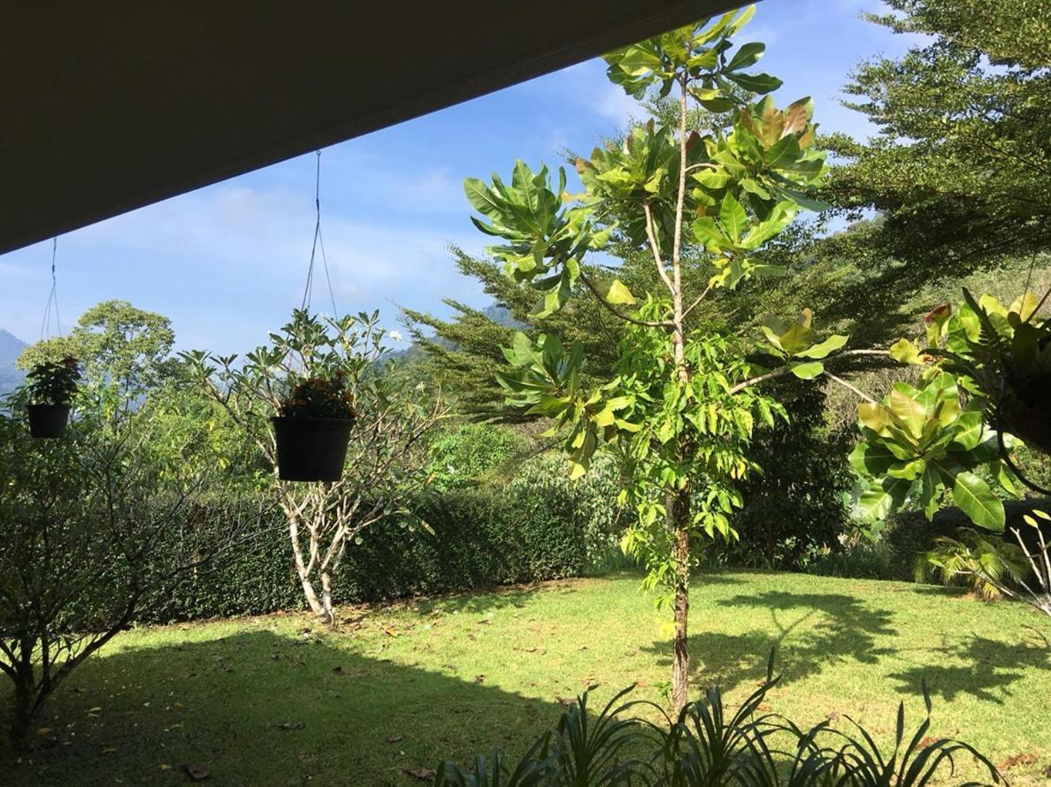 Khao Sok Hill Top Resort Khao Sok National Park Екстериор снимка