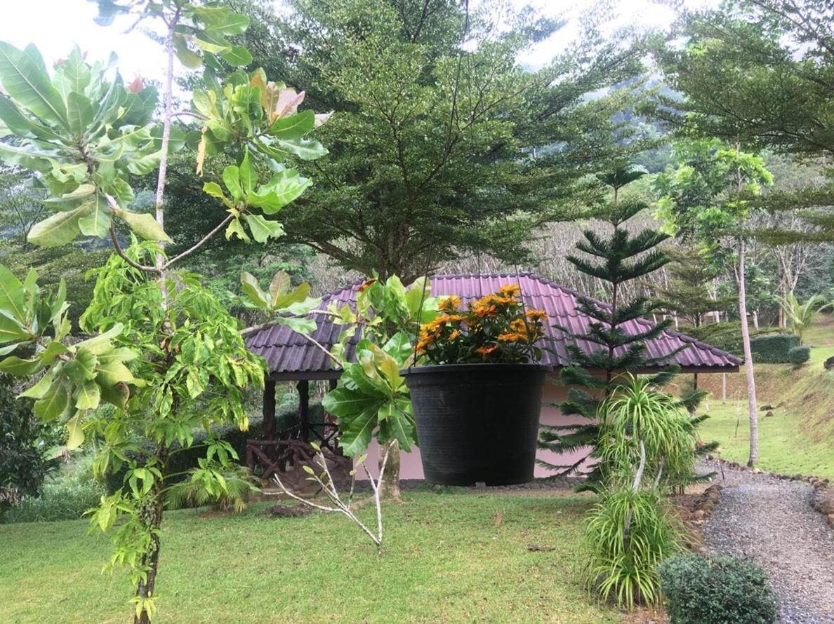 Khao Sok Hill Top Resort Khao Sok National Park Екстериор снимка