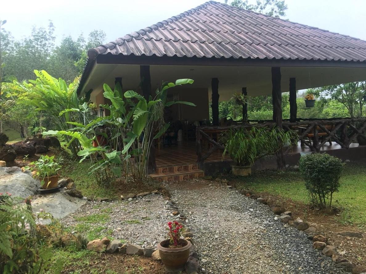 Khao Sok Hill Top Resort Khao Sok National Park Екстериор снимка